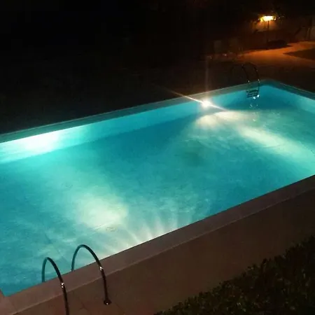 Pool Dolphin